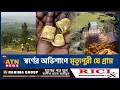 Lagu The village where the curse of gold is death | Curse of Gold | Gold Dust | Village of Death | ATN News