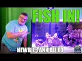 Download Lagu New Reefer JIMMY Fills his First Reef Tank \u0026 Adds Some Fish to Get Started! - Newbie Tank Build