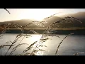 Autogenes Training 🙏 10 Min. zum Entspannen & Einschlafen