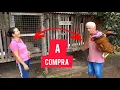 Download Lagu GEANE NÃO AGUENTOU O VELHINHO E CAIU NA RISADA + FOMOS COMPRAR UM FRANGO A GEANE 