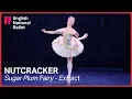 Download Lagu Nutcracker: Sugar Plum Fairy (extract) | English National Ballet