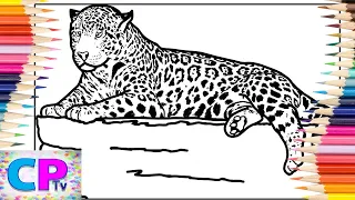 Leopard Coloring Animals - Savannah feat Philly K NCS Release