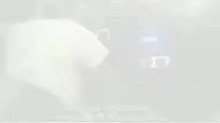 فى ستين الف داهيه لا تنسوا الاشتراك 