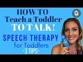How to Teach a Toddler to Talk - 3 Tips