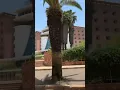 Download Lagu Asmara Palace 06/2024 🇪🇷 #eritrea #asmara #home