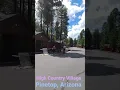 How much does it cost to live in Pinetop Arizona Garage Sale in High Country Village Valentus