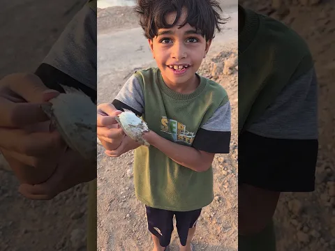 سمجه مكطوع راسة