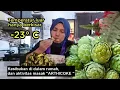 Lagu Mengolah Arthicoke untuk makan siang sendiri, dingin hari ini hanya berkisar -23°C di luar