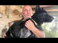 A wonderful animal rescuer has left us In Memoriam