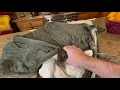 Sunbeam Royal Mink Sherpa Night Fog Heated Personal Throw Blanket Review