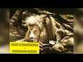 TONY Q RASTAFARA - SEBATANG ROKOK