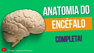 Anatomia do Encéfalo - estruturas e funções