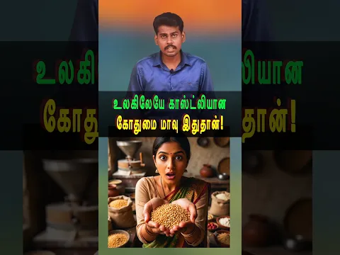 எவ்வளவு தெரியுமா? #tamilguru #tamilfacts #wheatflour