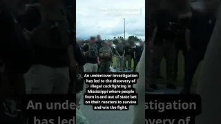 Illegal immigration cockfighting arrests made in South Mississippi ICE bust