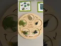 Frog Life Cycle Kindergarten Science Activities