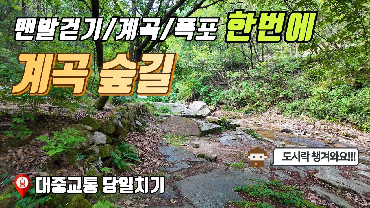 시원한 숲과 계곡, 맨발걷기 그리고 폭포까지! 이런 코스가 또 있을까? | 대중교통 당일치기 여행 | 트레킹 코스 サムネイル