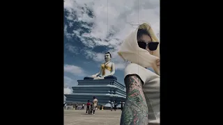  zhui meng ren progressive 