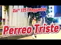 Perreo Triste by Becky G | Zumba | Reggaeton | Zin™ Volume 125