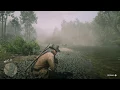 RDR 2 Getting a Sparrow Songbird and Toad for Wildlife Art Exhibition IV