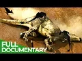 Download Lagu Dinosaurs: On the Trail of Prehistory | Free Documentary Nature