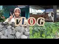 Download Lagu VLOG[2] WHAT.. DISERUDUK KAMBING😱☠️