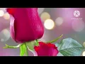 Download Lagu Rahmatallil Alamin(Islamic song)