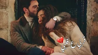 قربي ع قلبي قربي ضميني    اغاني حب  حالات واتس اب   مقاطع حب    دندنها