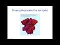 Epidemiology and dynamics of the coronavirus COIVD-19 epidemic - Robert Ziff
