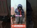 Download Lagu 🤣😆 best comedy things caught on camera part 3 😁🤣😆 #funny #shortscomedy #funny_shorts #comedy
