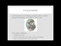 Plagiarism Tutorial