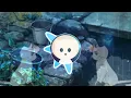 ÑΣVΣR GΣ† U$ΣD †Ø PΣØPLΣ - ЦΣЛУЙ МΣНЯ (Life Letters meme song)