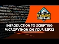 How to install microPython on your ESP32