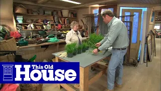 How to Choose Grass Seed This Old House