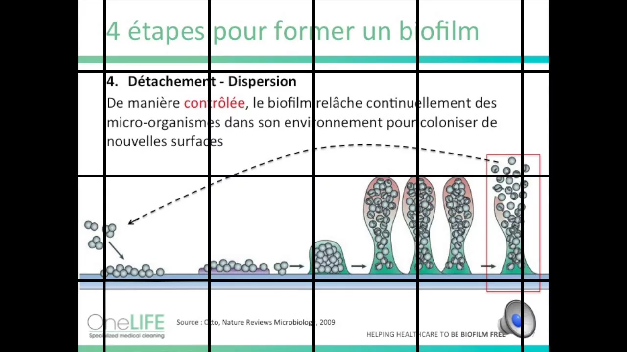 Les enjeux du biofilm en milieu hospitalier