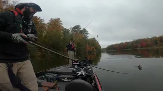 Tiny tum swimbait fishing