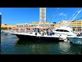 Download Lagu 2026 Regulator 35CC - Pameran Perahu Atlantic City - Hull 001!!!