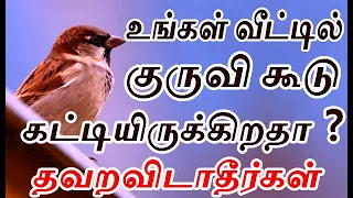  vettil kuruvi koodu kattalaama aanmeega thagaval