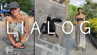 Releasing Baby Sea Turtles in Bali : LIALOG