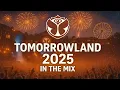 Download Lagu Tomorrowland 2025 (David Guetta, Martin Garrix, Tiesto, Meduza, Avicii, Axwell, Gigi D'Agostino)