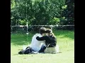 I'm Not Them - Them & I