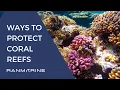 Ways to Protect Coral Reefs - RanMarine Techology