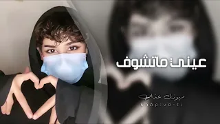 اغاني تيك توك         غيرك عيني ماتشوف    مطلوبه اكثر شيء دندنها