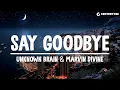 Download Lagu Unknown Brain - Say Goodbye (Lyrics) ft. Marvin Divine