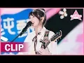 Download Lagu Joyce Chu's Original Song \