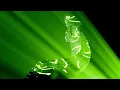 MEDUZA, GENESI - Ecstasy
