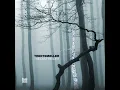 Moan - Trentemøller