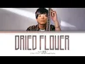 Yuuri 「ドライフラワー」 (Dried Flower) Lyrics