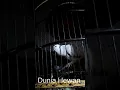 Lagu Masteran Burung Dekukur GAcOR