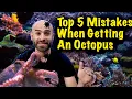 Top 5 Mistakes People Make When Buying an Octopus