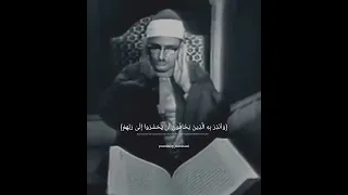 حالات واتس قران كريم محمد صديق المنشاوي تلاوة مرئيه نادرة 